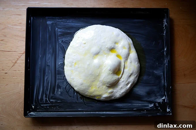Grandma-style pizza dough, having spent two days in the fridge, now carefully turned out into a buttered and oiled Lloyd grandma pan, ready for proofing.