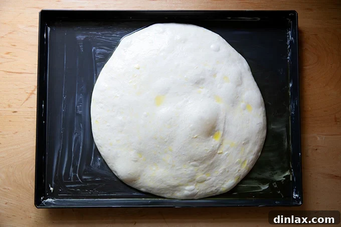 Grandma-style pizza dough, perfectly proofed and showing beautiful aeration, expanded to fill a Lloyd grandma pan, indicating readiness for stretching and topping.