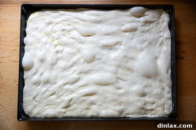 Grandma-style pizza dough, expertly stretched out to perfectly fill the base of a Lloyd grandma pan, creating an even foundation for toppings.