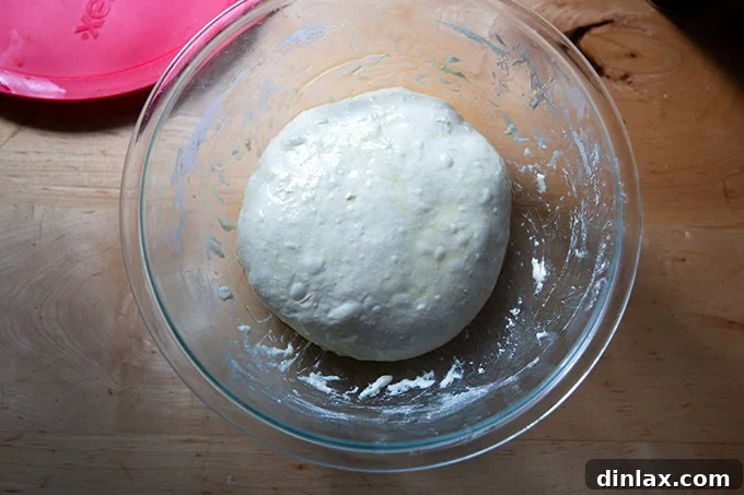 A bowl filled with focaccia dough, recently stretched and folded, slicked with olive oil, and covered tightly, patiently awaiting its fridge rise.
