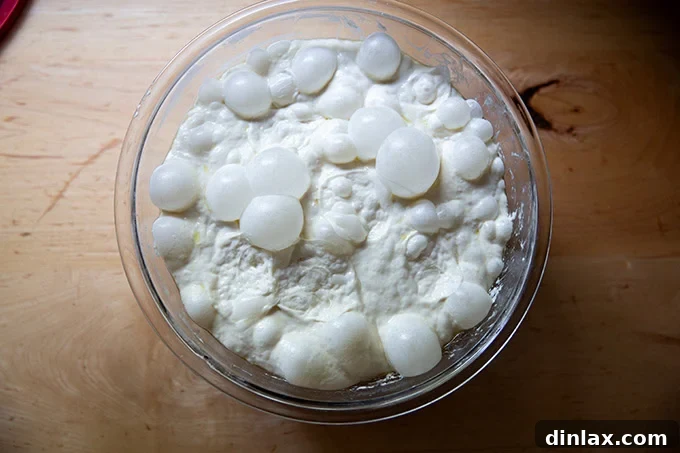 A large bowl containing perfectly risen Grandma-style pizza dough, showcasing its airy texture and increased volume after a 10-hour room temperature rise, now uncovered.