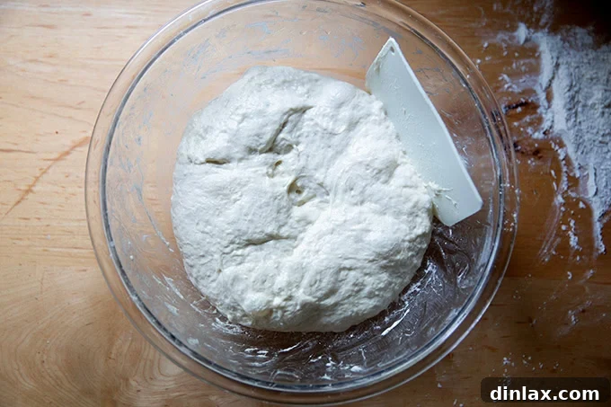 Grandma-style pizza dough, gently deflated after its substantial 10-hour rise, displaying a softer, more manageable texture in the bowl.
