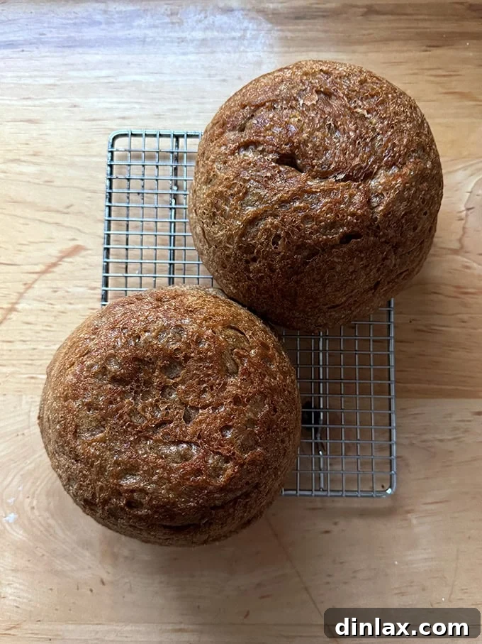 Two freshly baked loaves of rustic peasant bread, showcasing the rich, dark hue achieved with Petra 0103 flour.