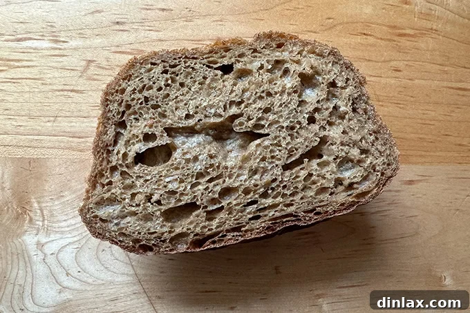 A close-up view of the interior (crumb) of bread made with Petra 0103 flour, highlighting its chewy texture and inviting air pockets.