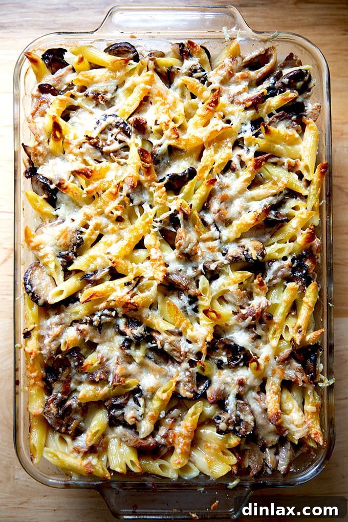 Just-baked Turkey Tetrazzini, golden brown and bubbly, fresh from the oven, garnished with fresh parsley.