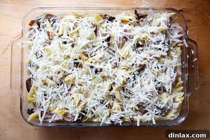 A 9x13-inch pan of unbaked turkey tetrazzini, topped with a generous, even layer of freshly grated Parmesan cheese, ready for the oven.