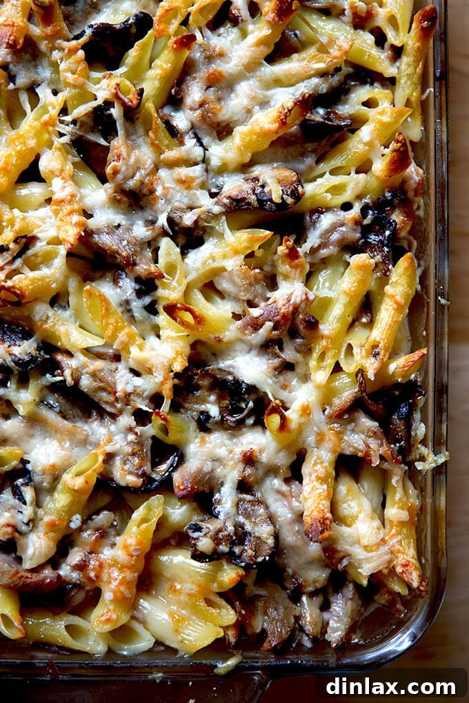 Freshly baked Turkey Tetrazzini in a baking dish, resting briefly after coming out of the oven, steam gently rising.