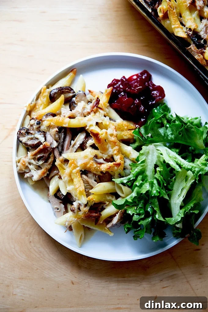 A plate of perfectly portioned Turkey Tetrazzini, accompanied by a fresh green salad and a side of red wine cranberry sauce, ready to be enjoyed.