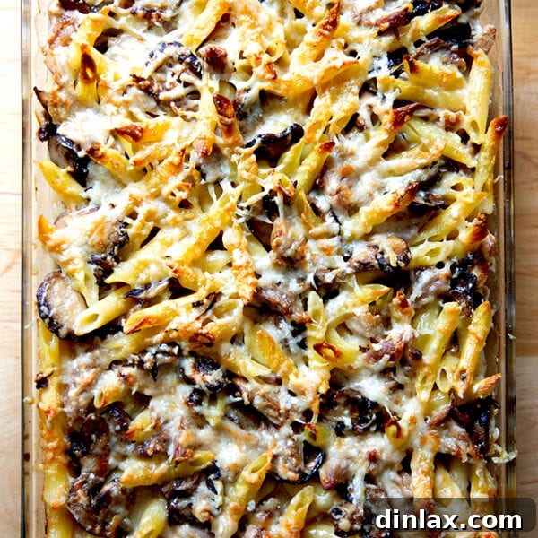 Just-baked Turkey Tetrazzini.