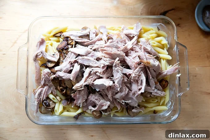 Shredded cooked turkey meat scattered over the pasta and sautéed mushrooms in a 9x13-inch baking dish, ready for the sauce.