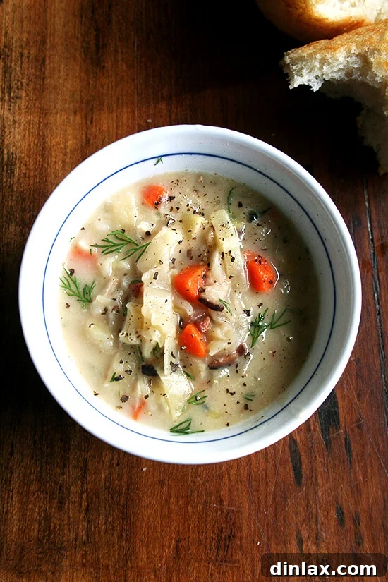 Paul Steindler's Cabbage Soup: A Hearty Winter Delight Loaded with vegetables — carrots, potatoes, onions and cabbage — a little bacon and a touch of cream, Paul Steindler's cabbage soup is definitely hearty, best served on a cold winter day with crusty bread and nothing more. For me, it's the dill and caraway seeds that make it unlike any other I have tasted, the caraway seeds in particular imparting a lovely yet subtle flavor. // alexandracooks.com