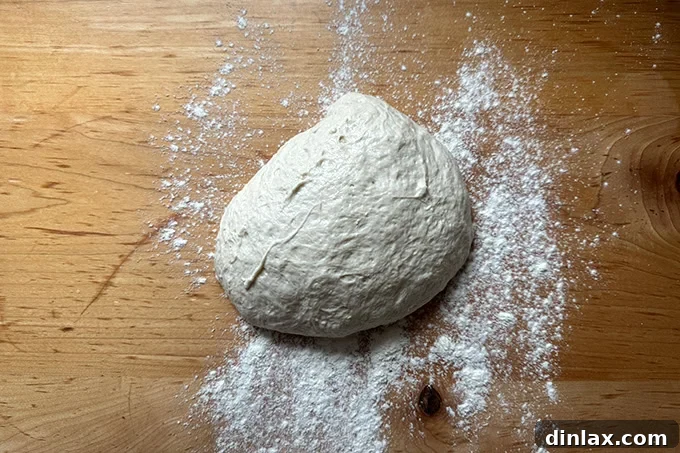 Overnight sandwich roll dough, turned out on a lightly floured work surface.
