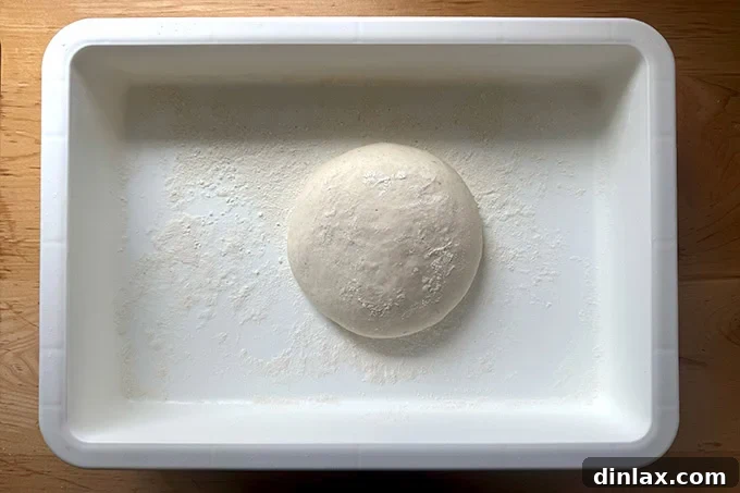 Balled up sandwich roll dough in a floured DoughMate.