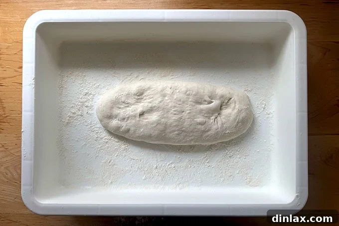 Sandwich roll dough, stretched into a log in a DoughMate.