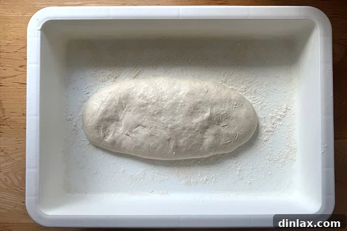 Proofed sandwich roll dough stretched into a log in a lightly floured DoughMate.