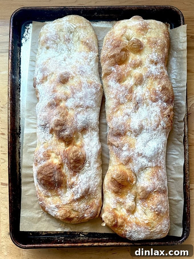 Two overnight sandwich rolls, just baked on a parchment-lined sheet pan.