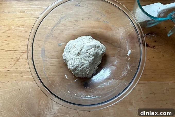 Just-mixed sandwich roll dough in a large bowl.
