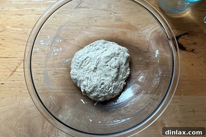 Sandwich roll dough after a 30-minute rest.