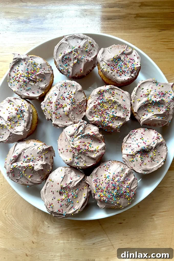 Vanilla cupcakes generously frosted with chocolate whipped cream cheese frosting, ready to be enjoyed.