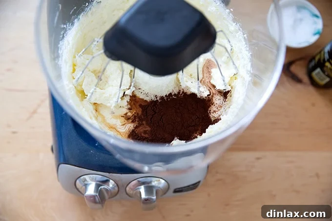 A stand mixer holding whipped sugar and cream cheese, with cocoa powder, vanilla, salt, and heavy cream added, ready for the final whip.