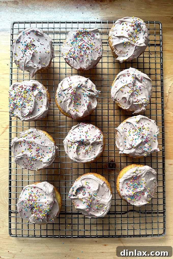 Beautifully frosted vanilla cupcakes with chocolate whipped cream cheese frosting, showing its perfect piping consistency.