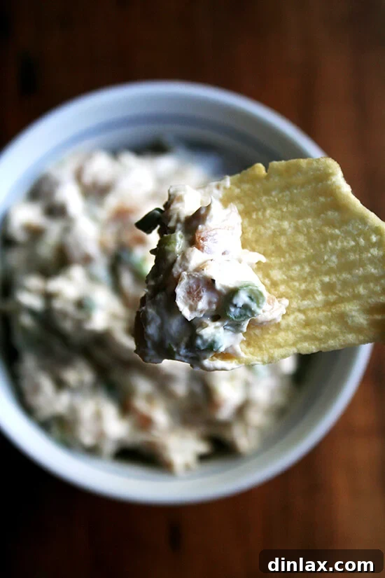 Authentic Sour Cream and Onion Dip 2 A bowl of real sour cream and onion dip with a Ruffle potato chip.