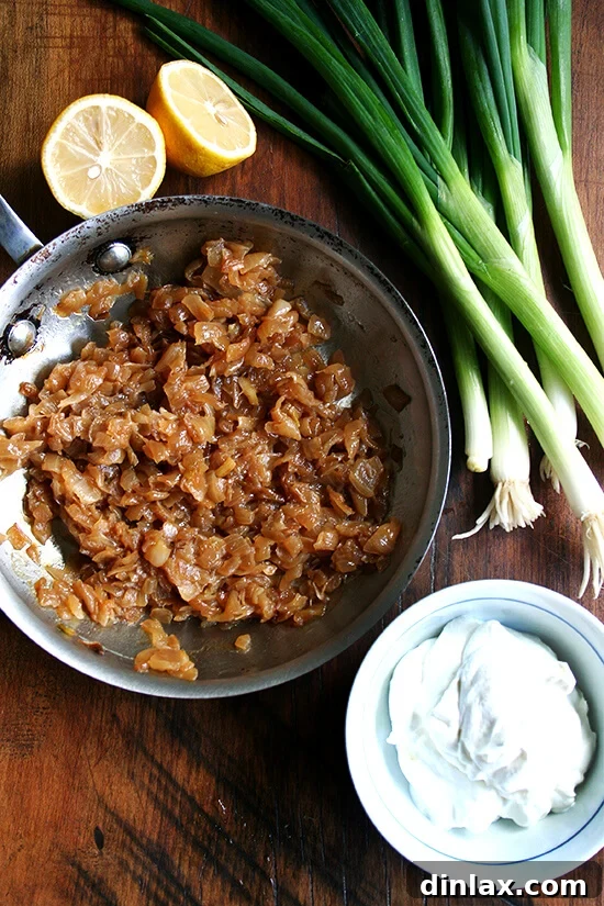 Authentic Sour Cream and Onion Dip 3 Sour cream and onion ingredients: caramelized onions, sour cream, scallions, and lemons.