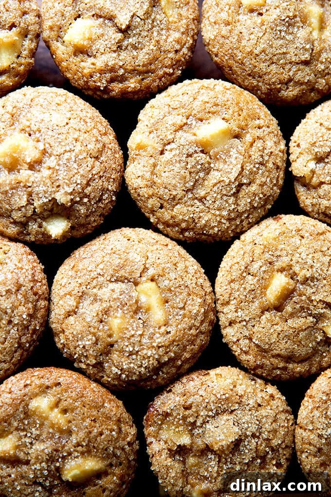 Apple orchard muffins with turbinado sugar crust.