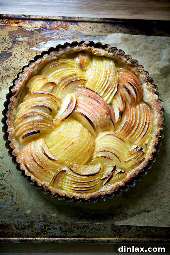 Just baked French apple tart on sheet pan.